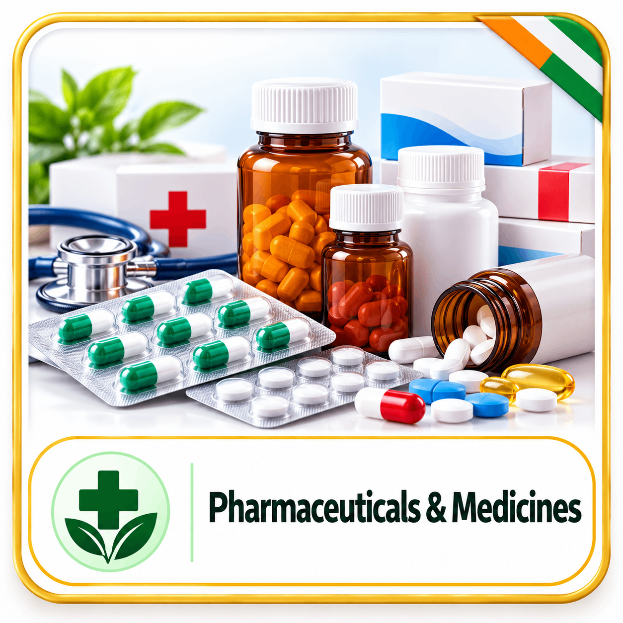Pharmaceuticals & Medicines