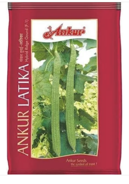 Ankur Latika Gourd Seeds